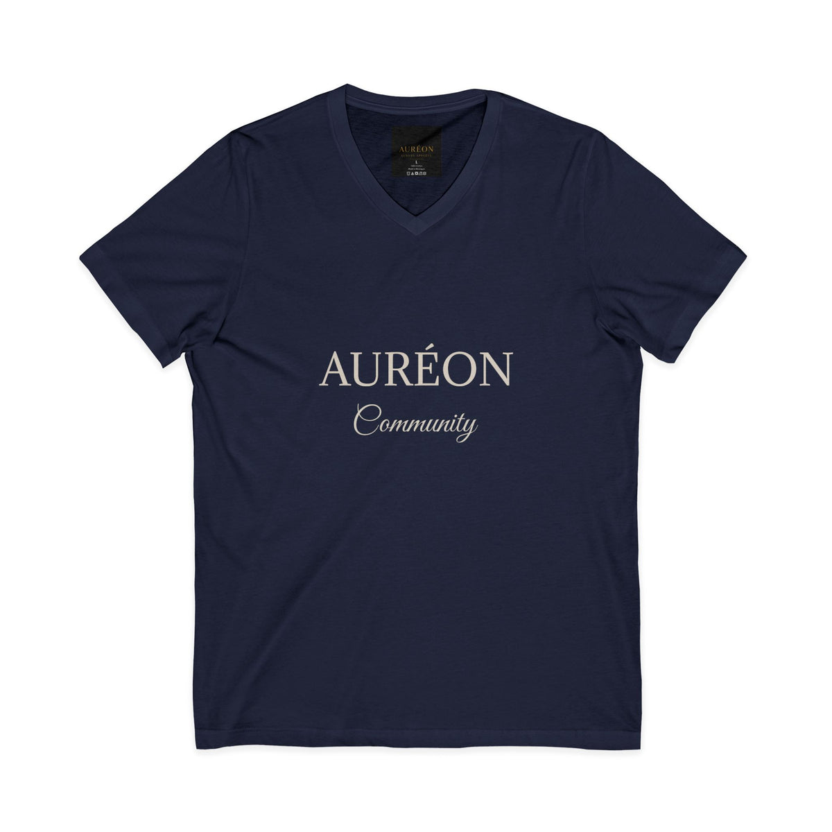 HOA-AL-COM-D1-S26-T3 | V NECK TEE | RELAXED FIT | MEN