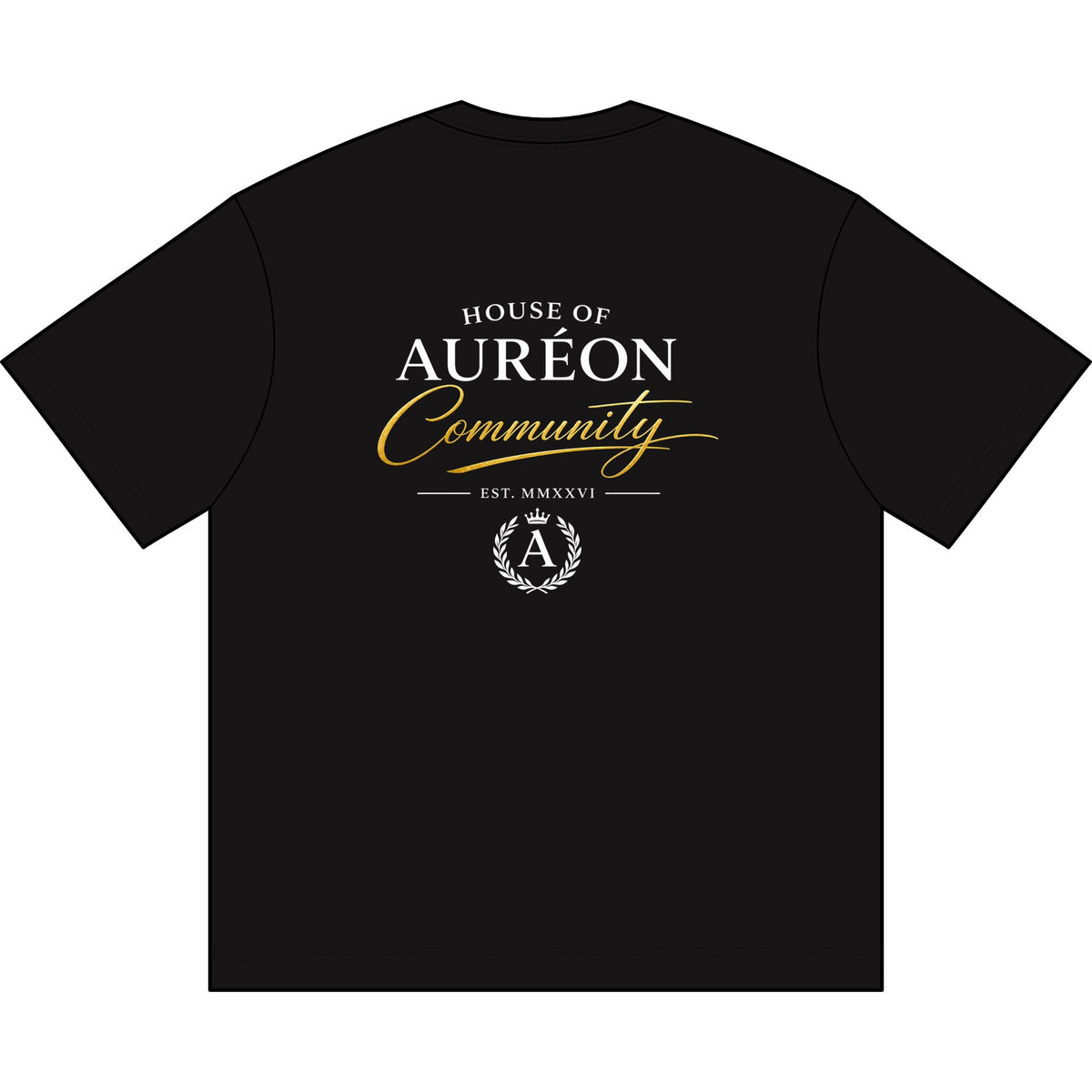 HOA-AL-COM-D1-S26-T4 | T-SHIRT | DROP SHOULDER | MALE