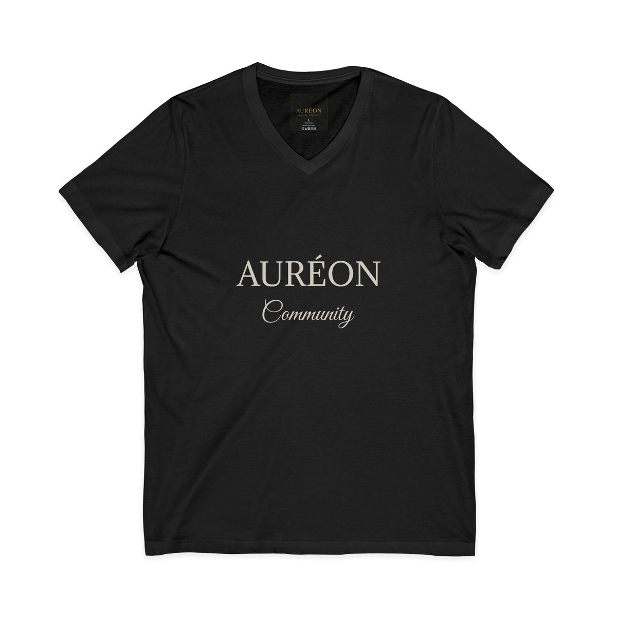 HOA-AL-COM-D1-S26-T3 | V NECK TEE | RELAXED FIT | MEN